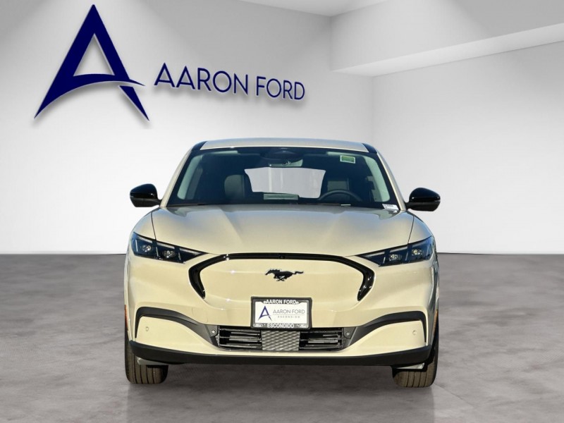 2025 Ford Mustang Mach-E Premium 3FMTK3R73SMA57264