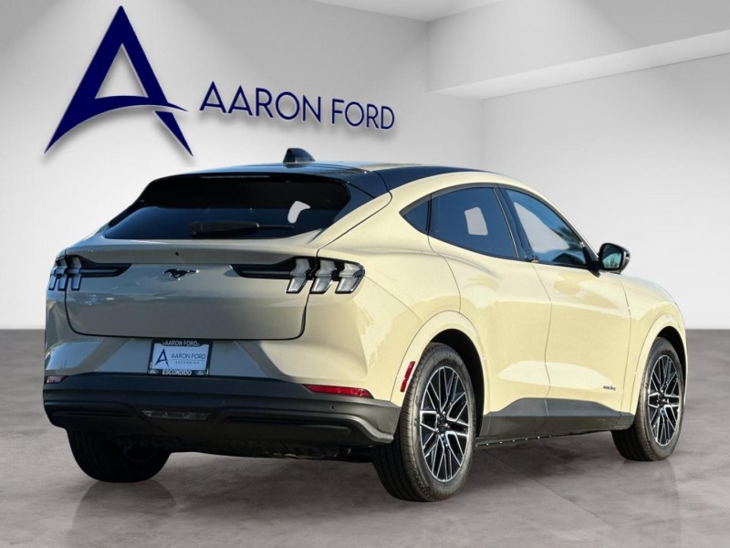 2025 Ford Mustang Mach-E Premium 3FMTK3R73SMA57264