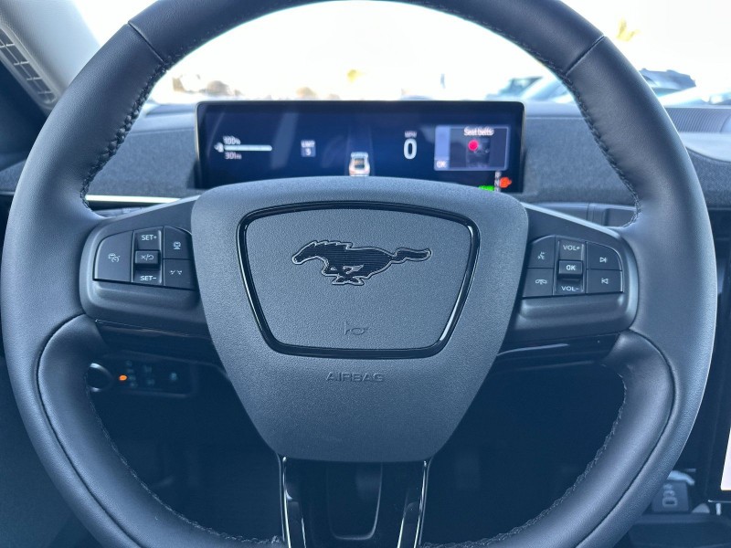 2025 Ford Mustang Mach-E Premium 3FMTK3R73SMA57264