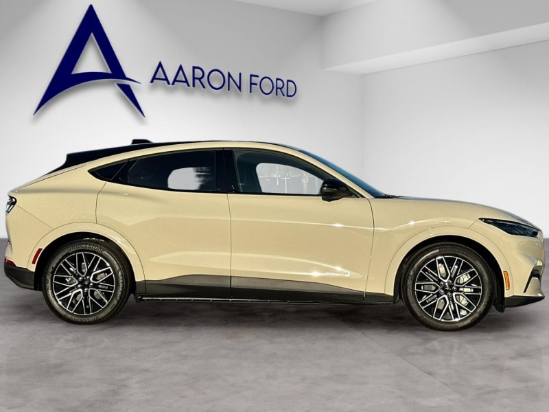 2025 Ford Mustang Mach-E Premium 3FMTK3R73SMA57264