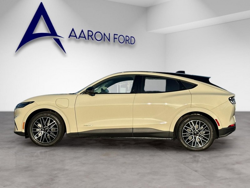 2025 Ford Mustang Mach-E Premium 3FMTK3R73SMA57264