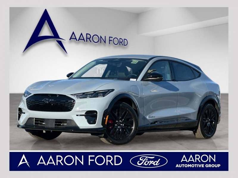 2025 Ford Mustang Mach-E Premium 3FMTK3R77SMA54352