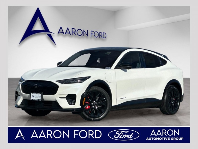 2025 Ford Mustang Mach-E Premium 3FMTK3R77SMA54903