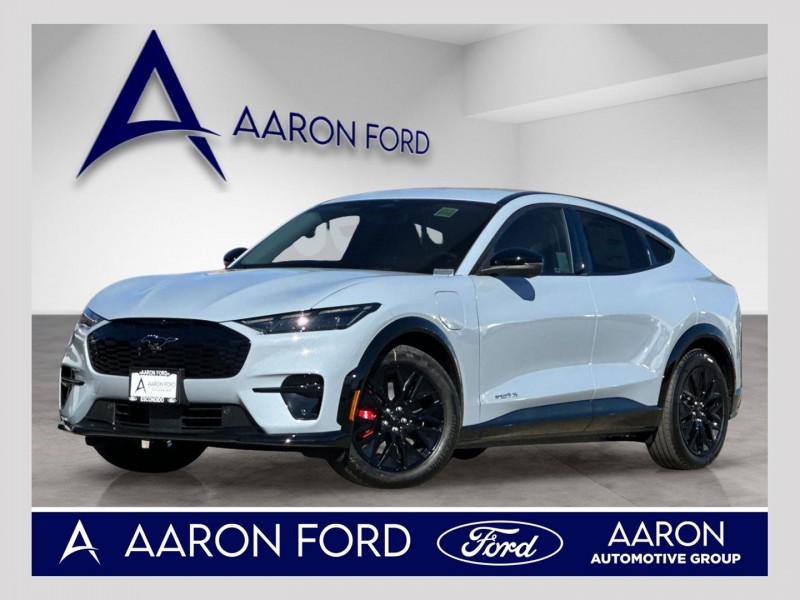 2025 Ford Mustang Mach-E Premium 3FMTK3SU3SMA53408