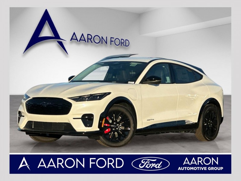 2025 Ford Mustang Mach-E Premium 3FMTK3SU6SMA47845