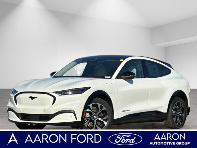 2023 Ford Mustang Mach-E Premium 3FMTK3SU7PMA78819