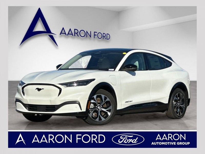 2023 Ford Mustang Mach-E Premium 3FMTK3SU7PMA78819