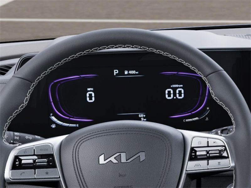 2025 Kia Telluride EX 5XYP34GC1SG725360