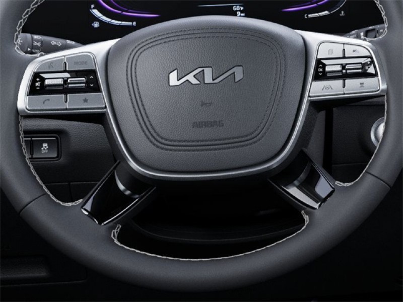 2025 Kia Telluride EX X-Line 5XYP3DGC5SG724115