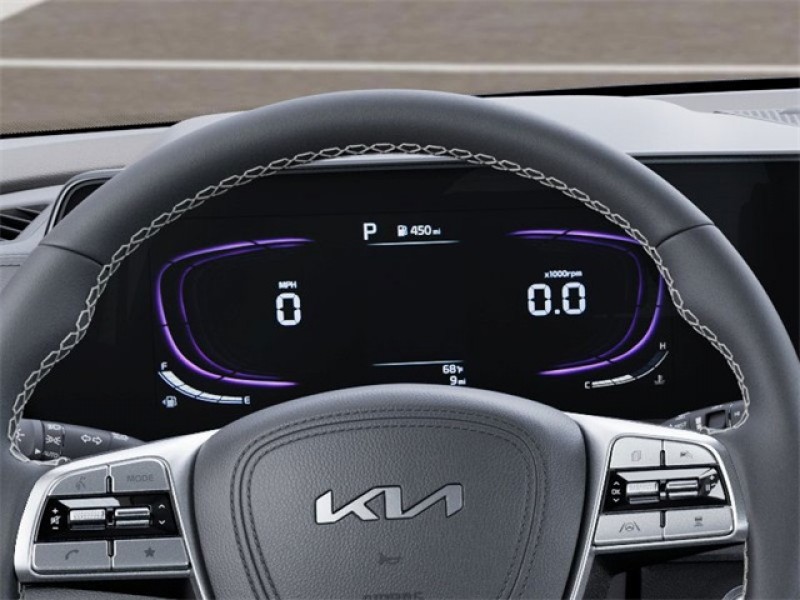 2025 Kia Telluride EX X-Line 5XYP3DGC5SG724115