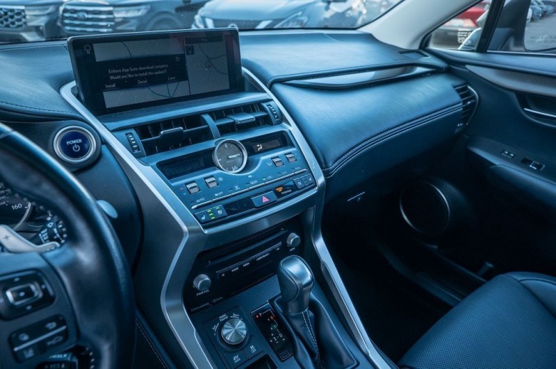 2020 Lexus NX 300h JTJGJRDZ3L2134953