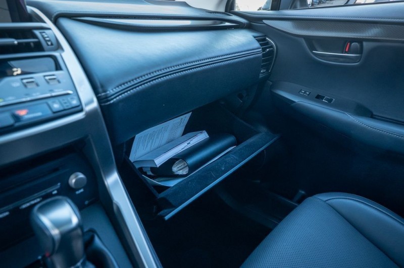 2020 Lexus NX 300h JTJGJRDZ3L2134953