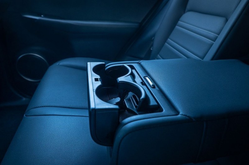 2020 Lexus NX 300h JTJGJRDZ3L2134953