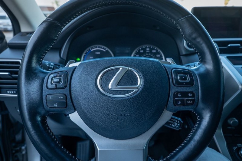 2020 Lexus NX 300h JTJGJRDZ3L2134953
