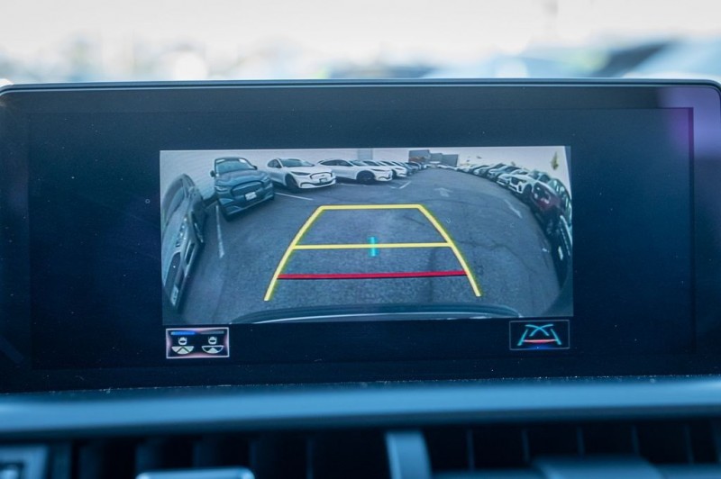 2020 Lexus NX 300h JTJGJRDZ3L2134953