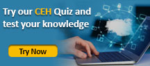 Try our ECSA Quiz and test your knowledge