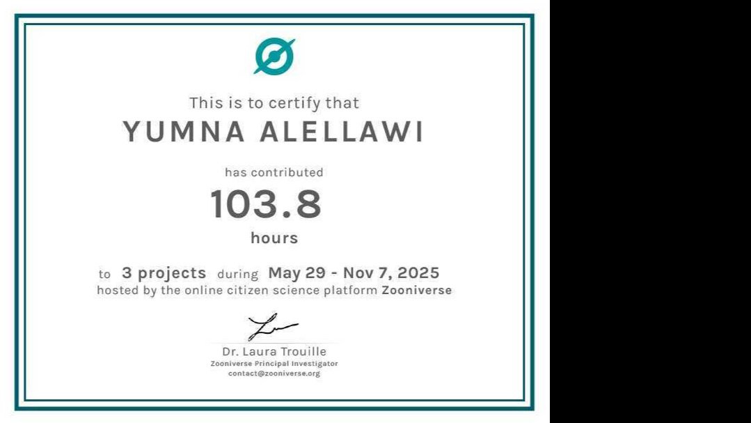 I volunteered over 100 hours in global science and astrophysics projects.