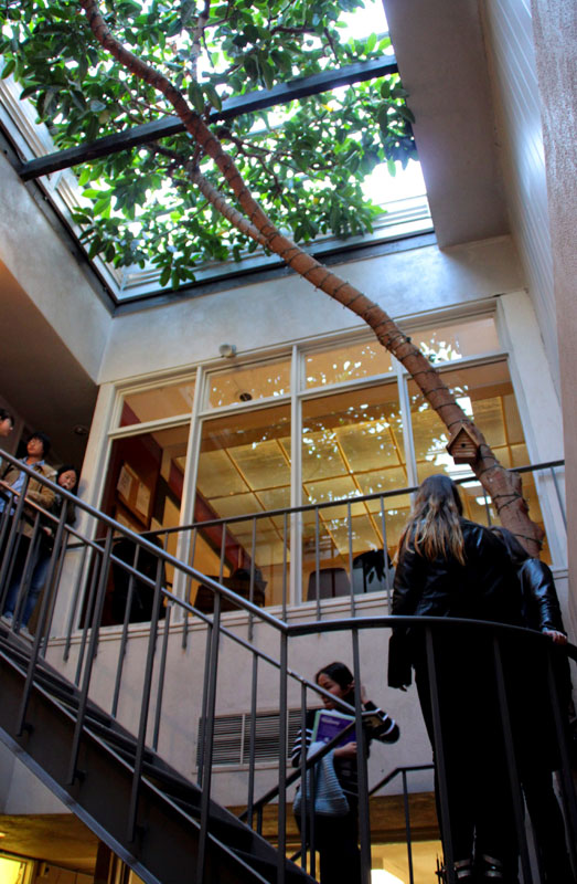 LSI San Francisco/Berkeley 4