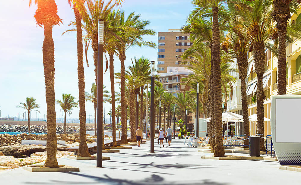 Enforex Spanish Schools - Alicante 5