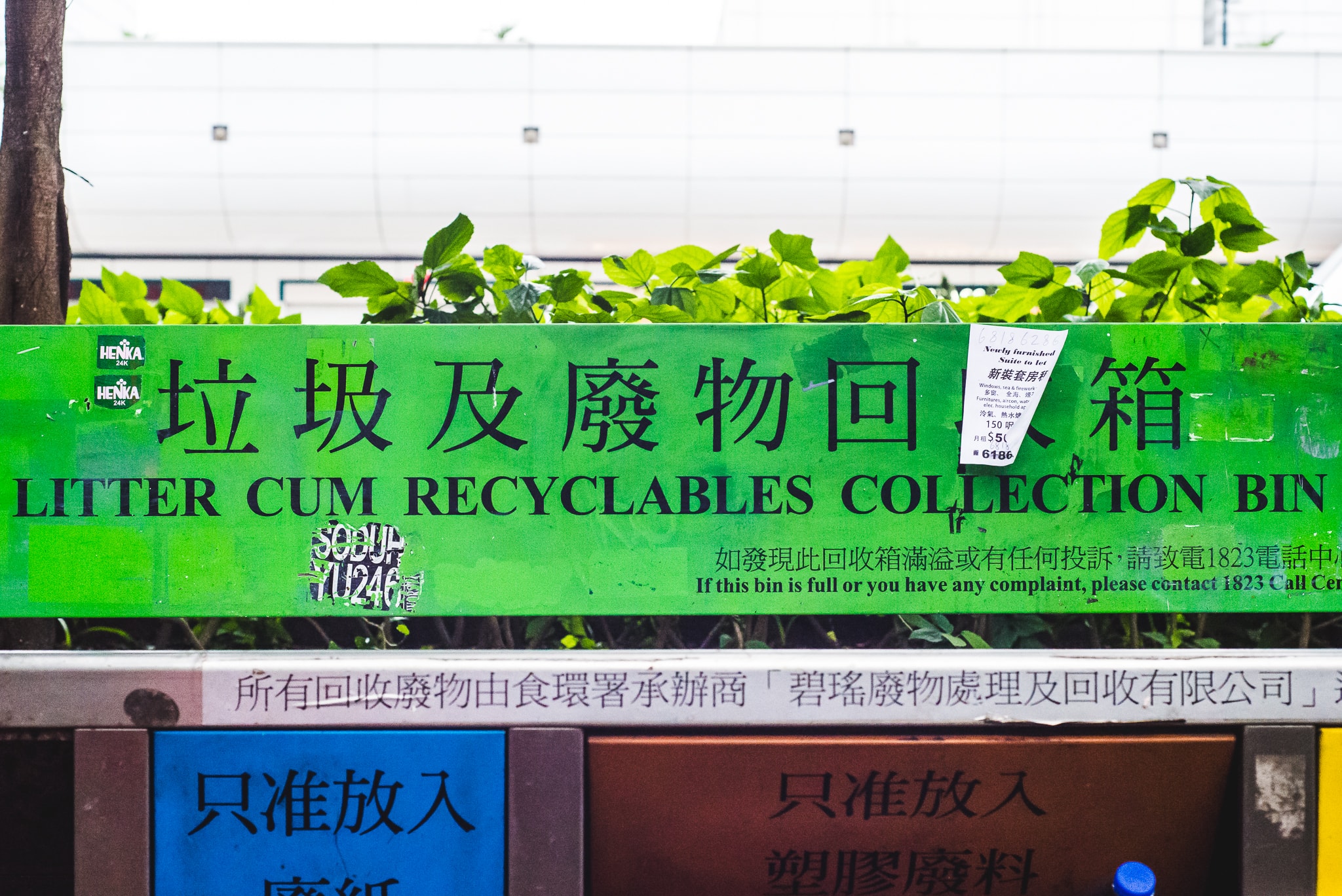 Hong Kong Express Asia Photo Review