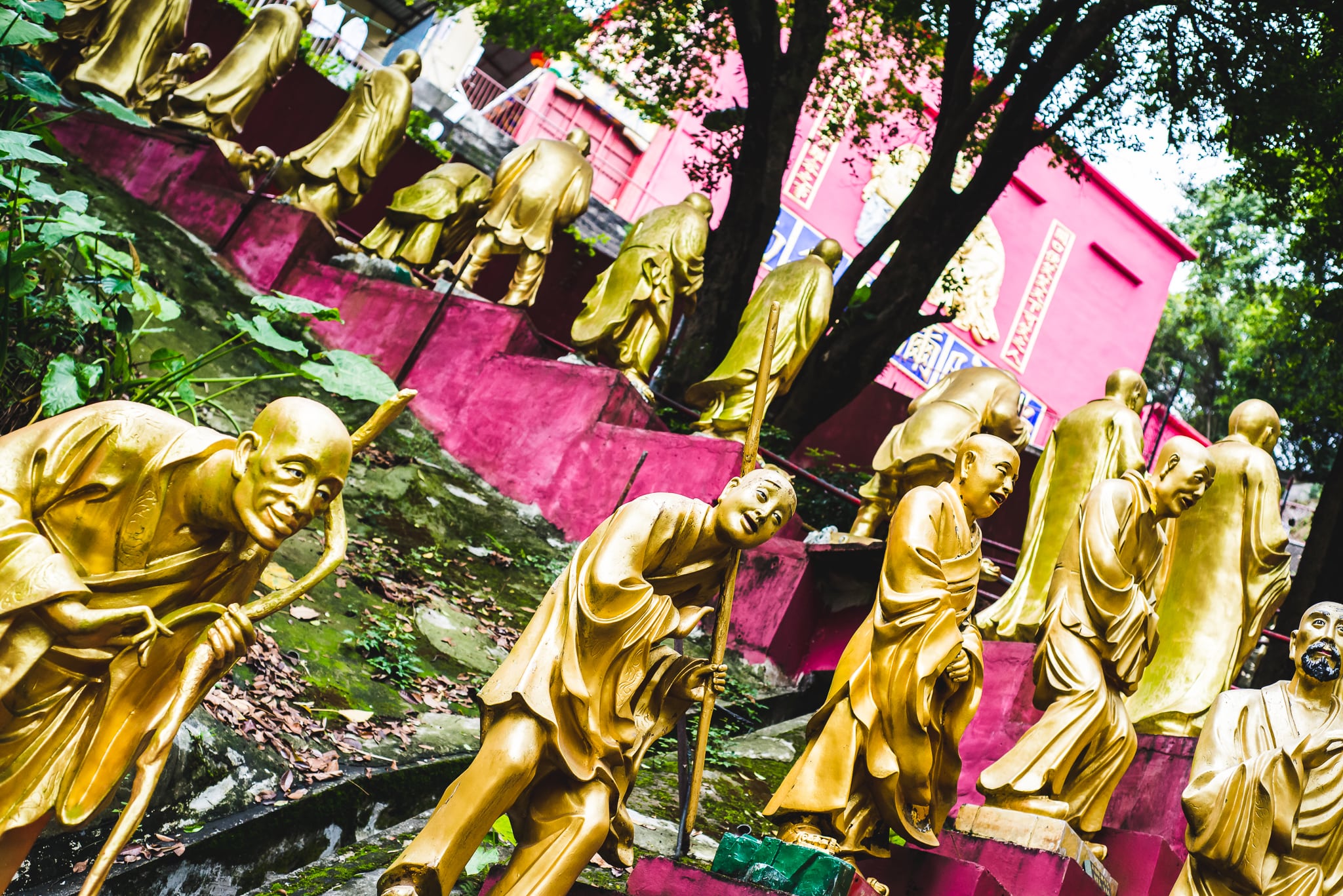 Hong Kong Express Asia Photo Review