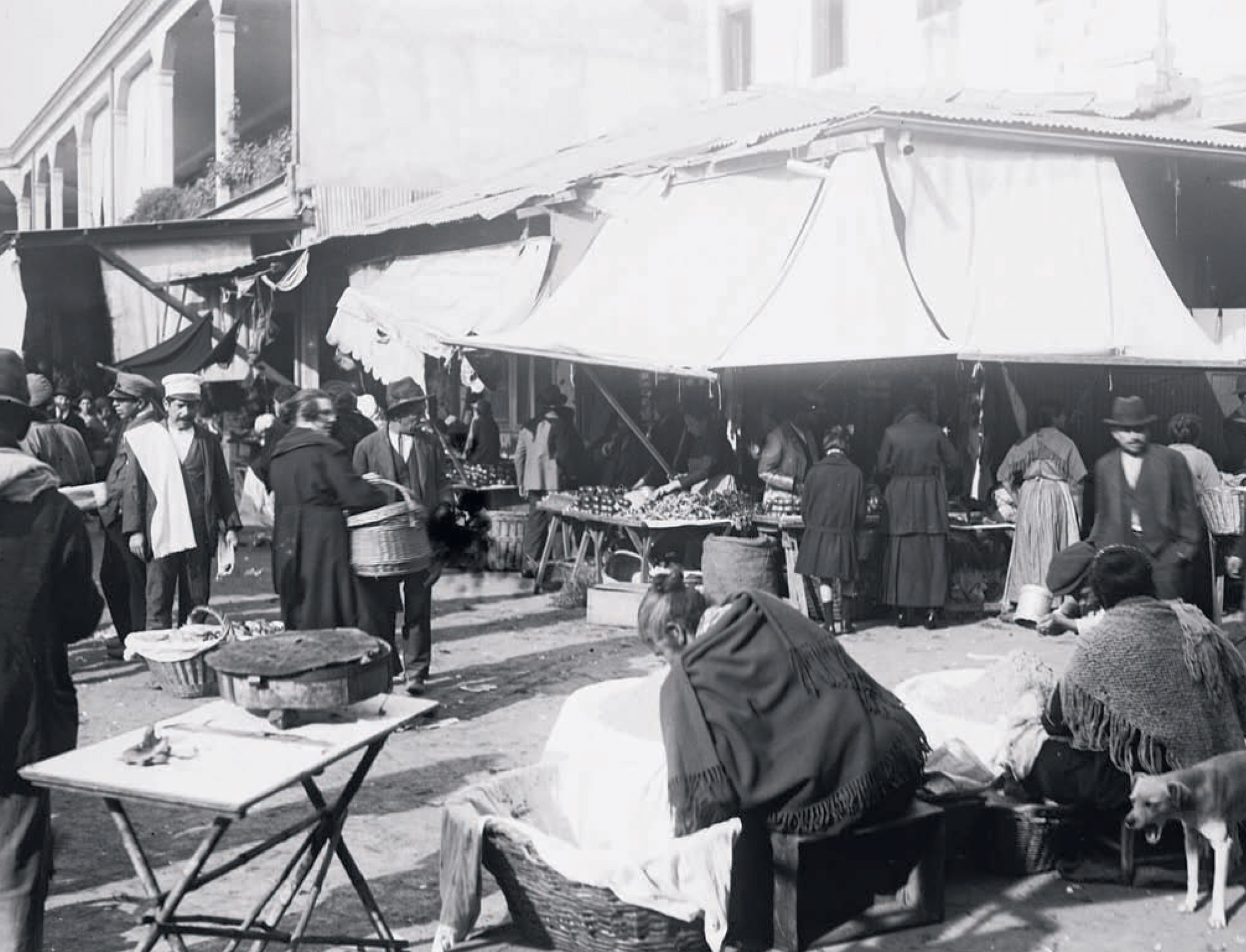 Enterreno Fotos históricas de Chile