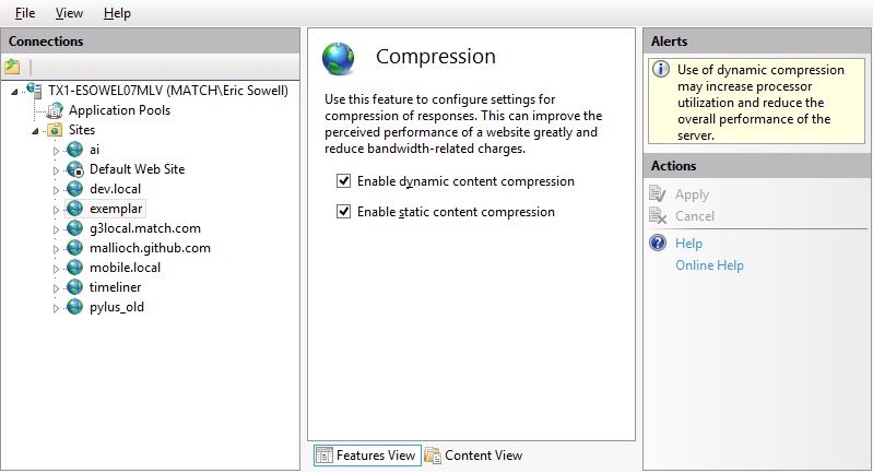 IIS with Gzip installed