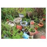 garden pots