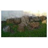 Petrified Wood