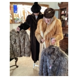 Red fox & minks