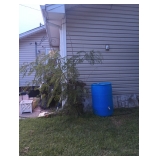 Recycle rainwater system 