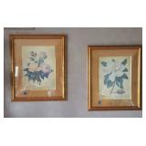 framed prints
