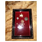 Framed ant stick pins