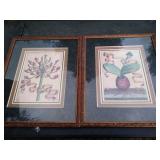 Prints
