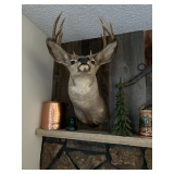 Deer Mount