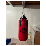 Punching bag with gloves 