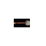 Epiphone Weatherking Banjo