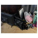 Tv, pictures, exercise equipment 