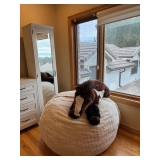 Bean bag chair and stuffed horse