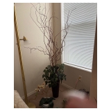 Decorative Plant