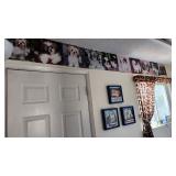 A cute collection of Shih Tsu pictures. Buy one, or buy them all!