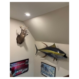 A taxidermy whitetail deer and a giant yellowfin tuna. Looks cool anywhere.