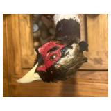 Ringneck Pheasant 2