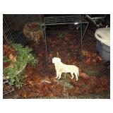 OutSide:  Dog, Wire Table