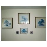  1st Bed Rooms: Pictures of Bonsai Plants  