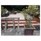 Back Yard: Large Chinese Clay Pot w/Tree, 2 old Saw Horses Back Yard: Large Chinese Clay Pot w/Tree, 2 old Saw Horses