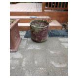 Back Yard: Back Yard: