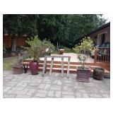 Back Yard: Large Chinese Clay Pot w/Tree, 2 old Saw Horses,  Small Chinese Clay Pot w/Bush, Large Ce