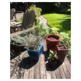 Outside:  More Planters