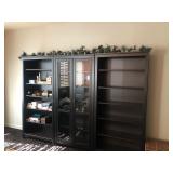 TV Room:  Book Shelves